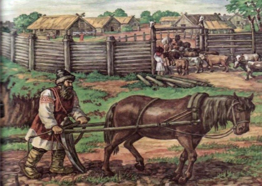 Разводят скот